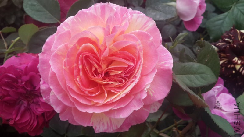 20160414_115137.jpg