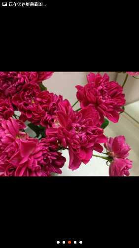 Screenshot_2016-05-11-20-23-32.jpg