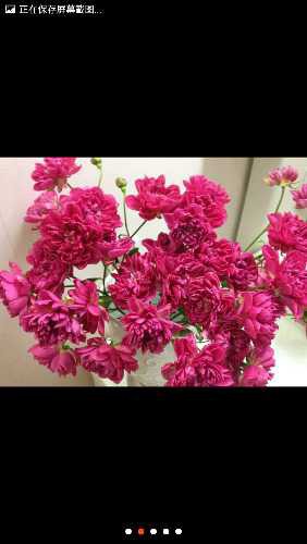 Screenshot_2016-05-11-20-23-34.jpg