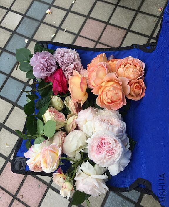 QQ��ͼ20160512082130.jpg