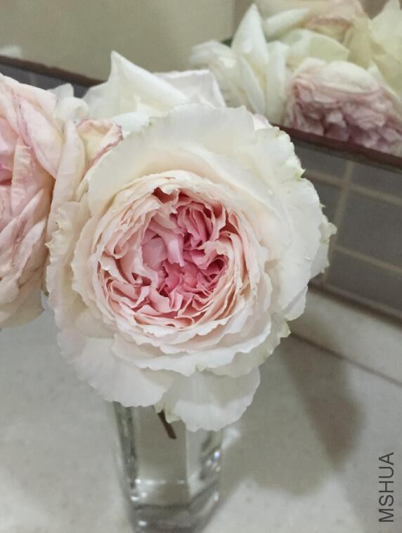 QQ��ͼ20160512082204.jpg