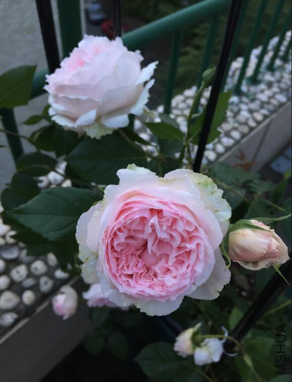 QQ��ͼ20160512082213.jpg