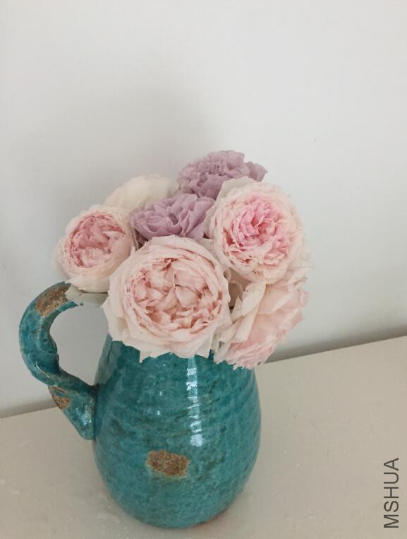 QQ��ͼ20160512082230.jpg
