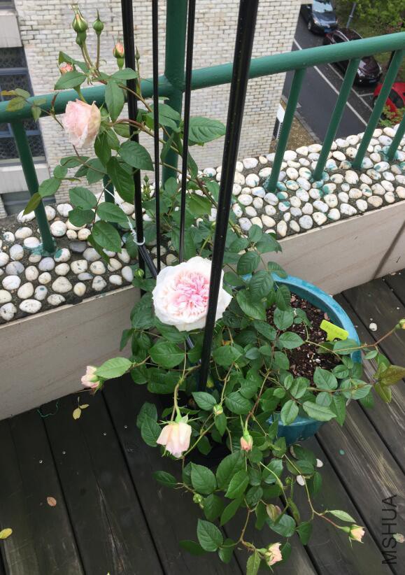 QQ��ͼ20160512082437.jpg