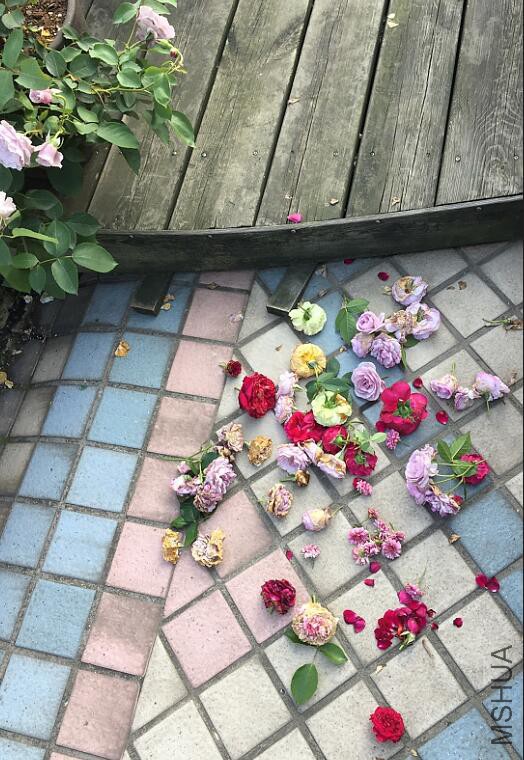 QQ��ͼ20160512090023.jpg