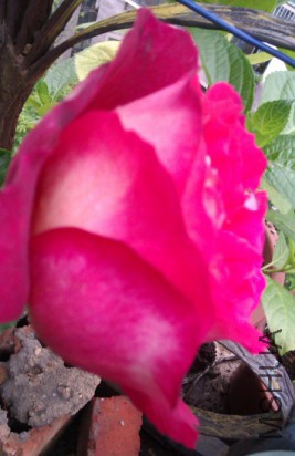 QQͼƬ20160511162626.jpg