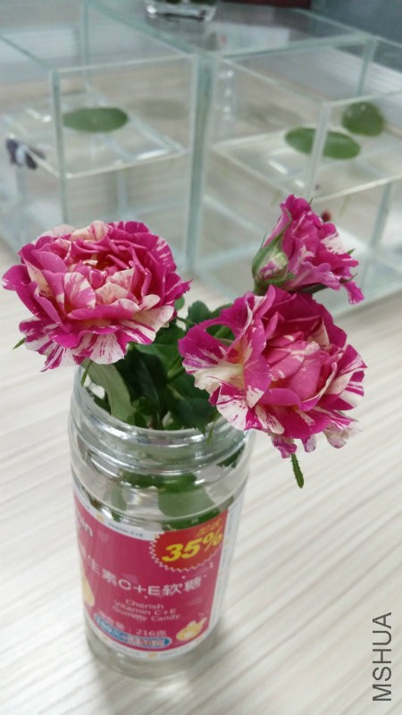 QQ图片20160512105438.jpg