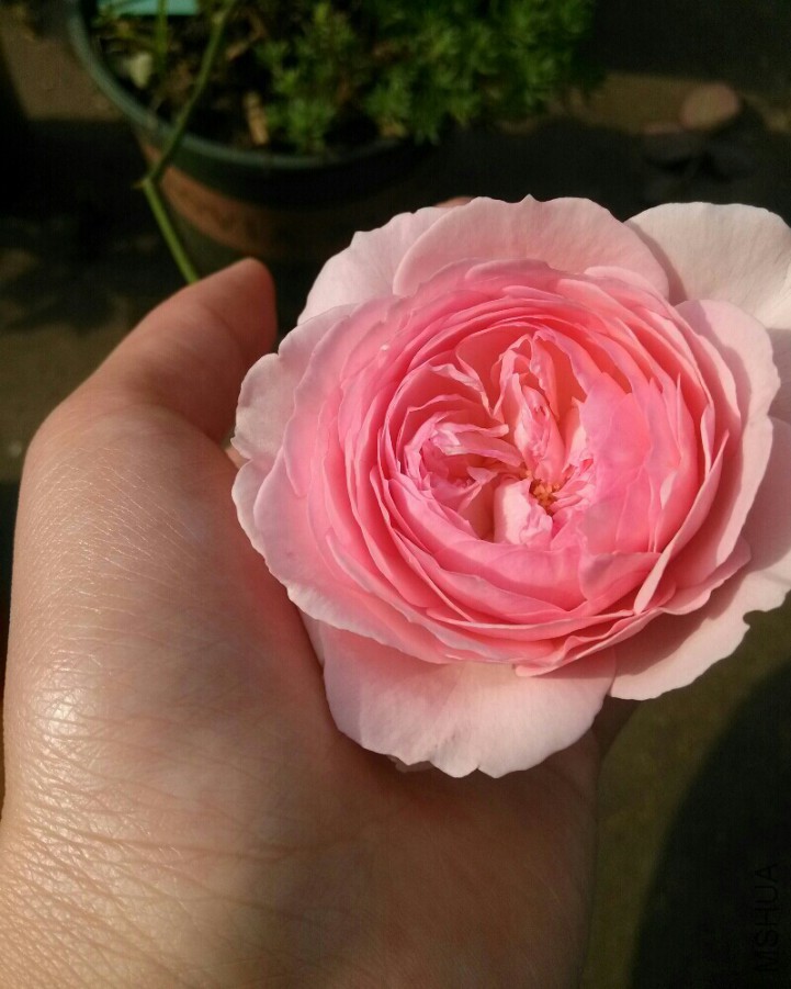 bmz_20160512T131007.jpg