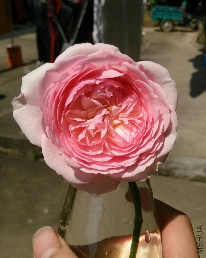 bmz_20160512T131253.jpg