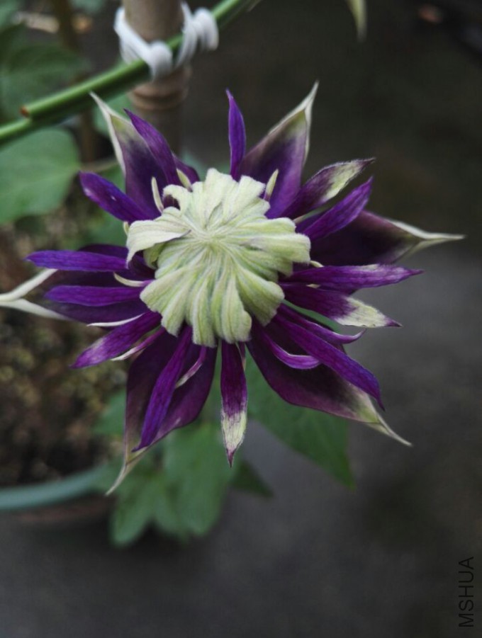 QQͼƬ20160512215315.jpg