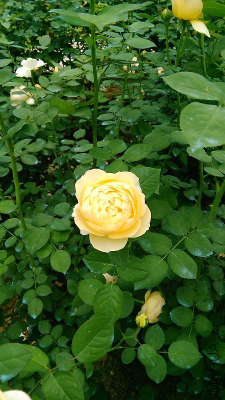 IMG_6759.JPG