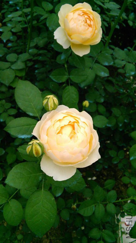 IMG_6760.JPG