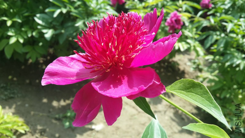 20160513_134817.jpg