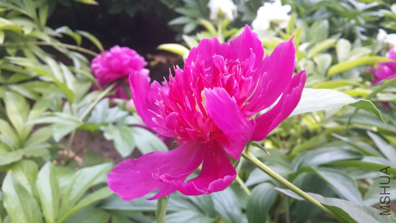 20160513_135028.jpg