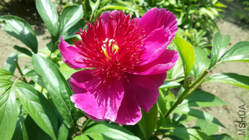 20160513_131827.jpg