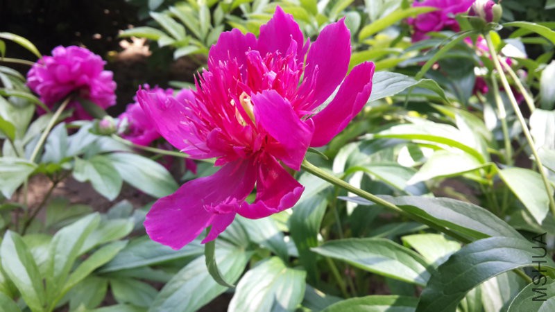 20160513_131901.jpg