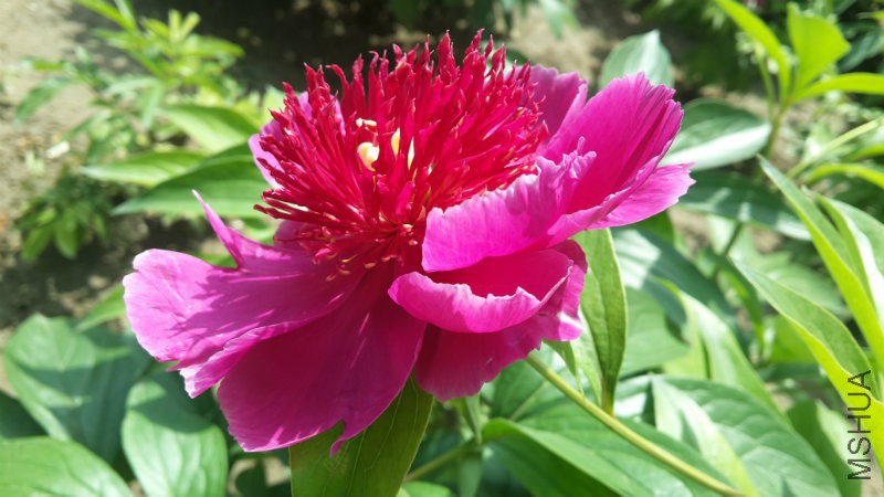 20160513_134811.jpg