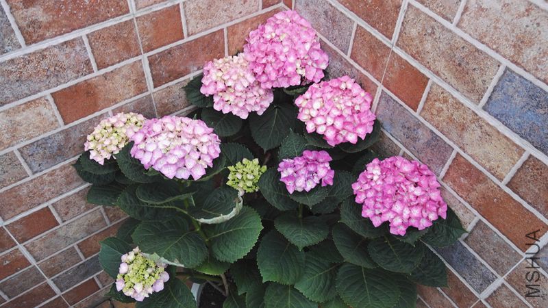IMG_20160513_175035.jpg