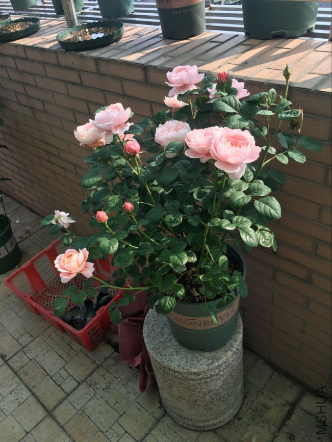 QQͼƬ20160514145518.jpg