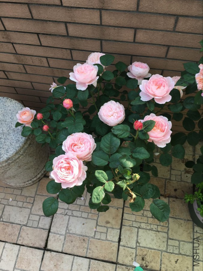 QQͼƬ20160514145525.jpg