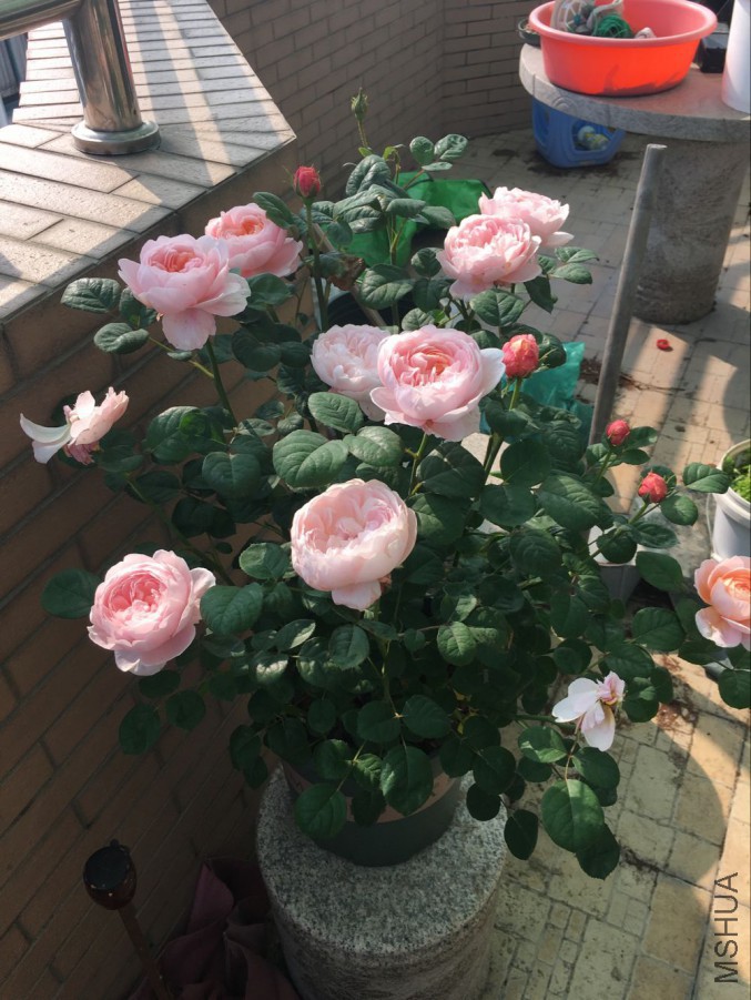 QQͼƬ20160514145531.jpg