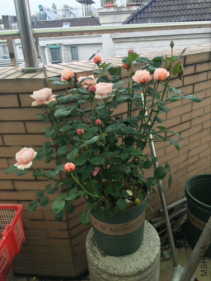 QQͼƬ20160514150435.jpg