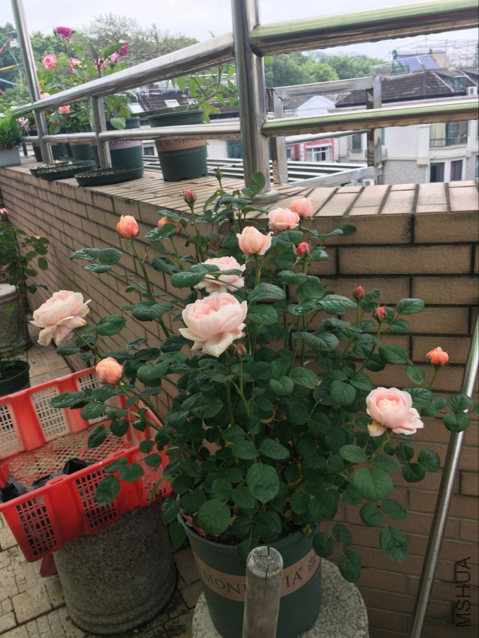 QQͼƬ20160514150439.jpg