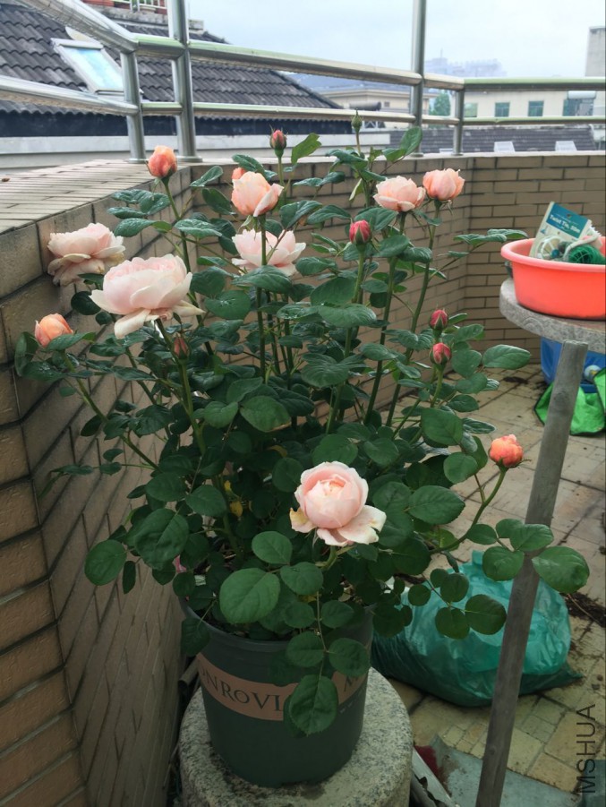 QQͼƬ20160514150446.jpg