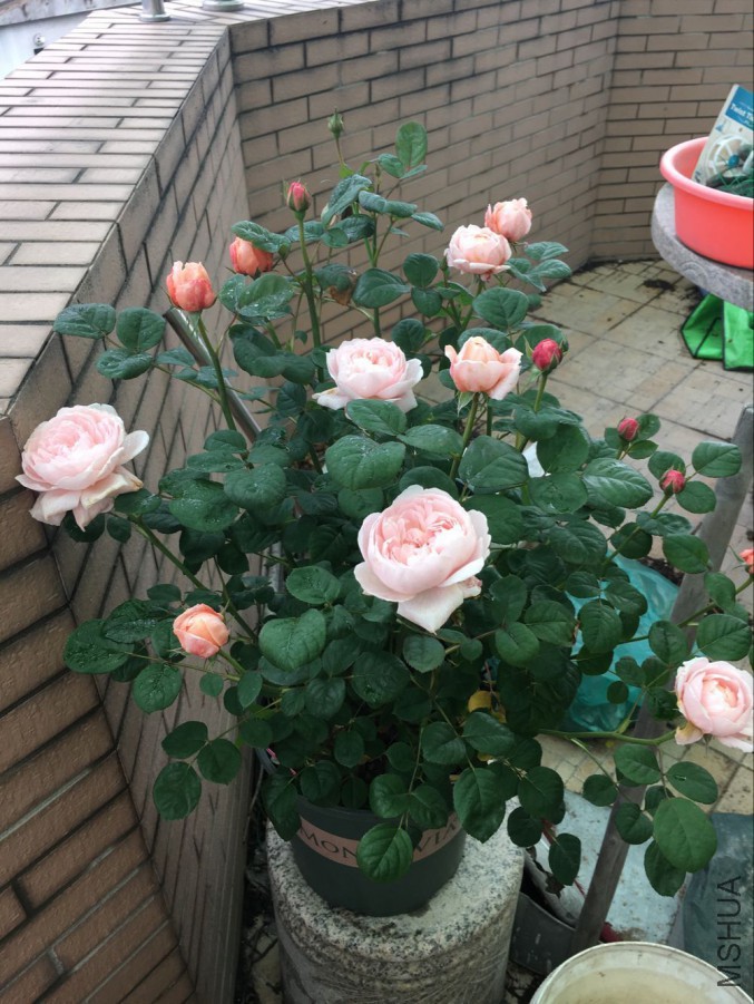 QQͼƬ20160514150449.jpg