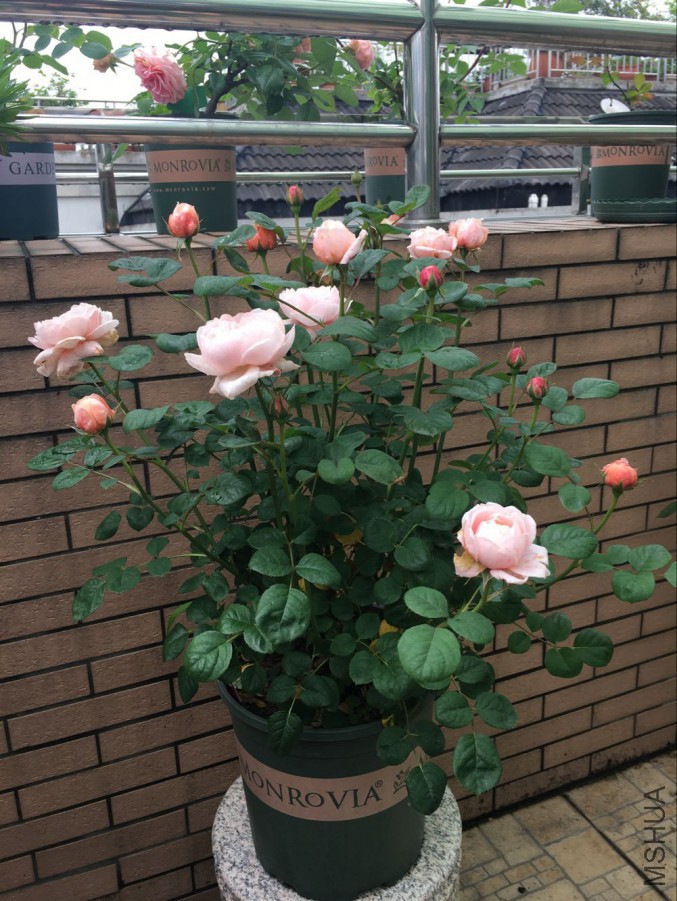 QQͼƬ20160514150454.jpg