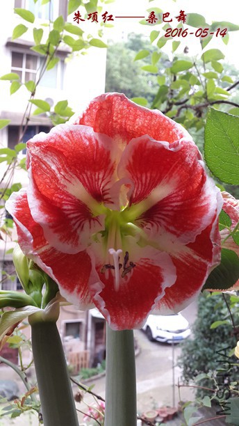 2016.5.14 002 (2)_����_����.jpg