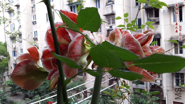 2016.5.14 004_����_����.jpg