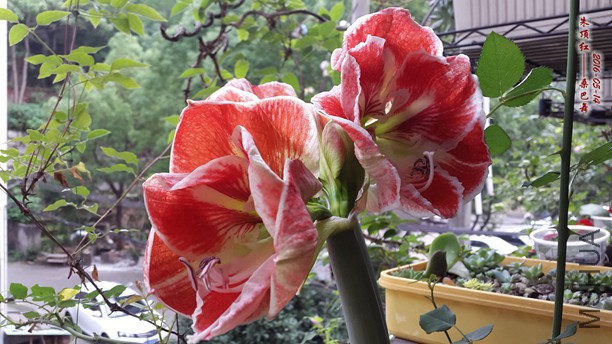 2016.5.14 006_����_����.jpg