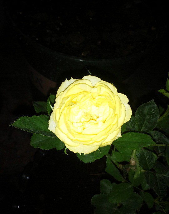 KA@MIA}}H$J7W8%N7{$YX1U.jpg