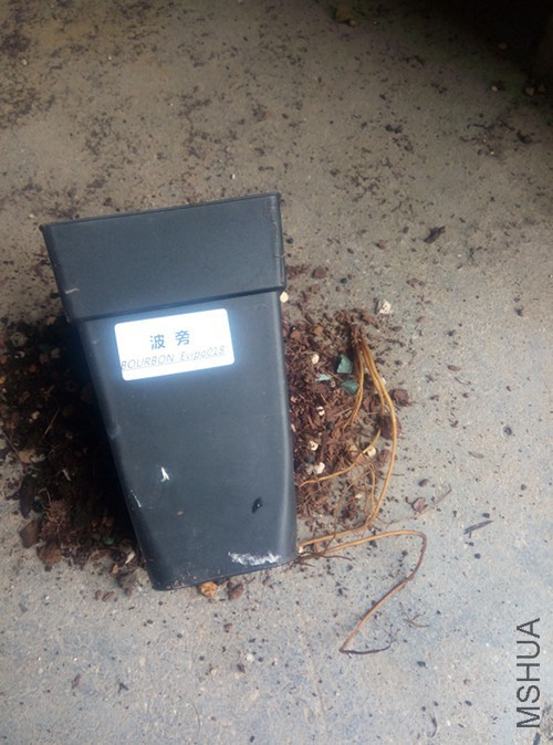 �ò�������һ�ţ�û�ú���ϧ����