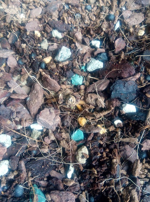 ������ð��5-6��ѿ��