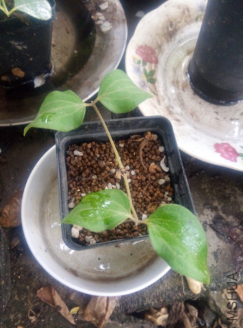 ����Ѿ�������