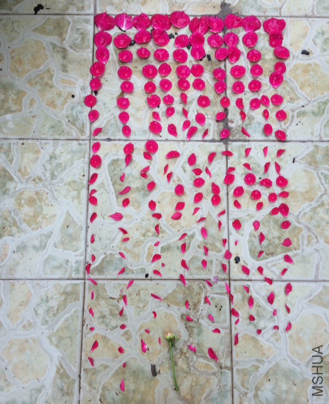 ����Ů�����귽��220���ң�����