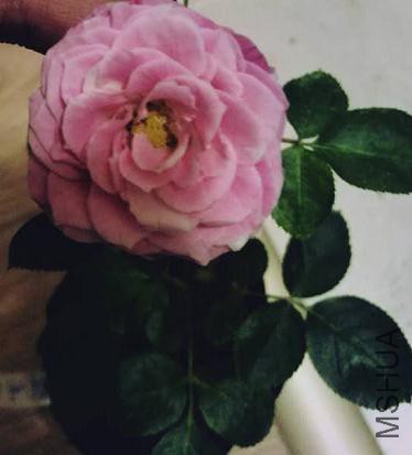 ΢�Ž�ͼ_20160515212128.jpg