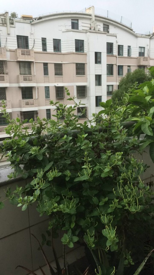 ����С���Ĺ���