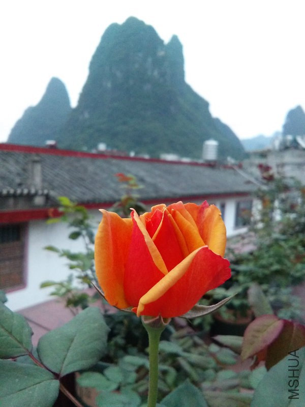 回眸.jpg