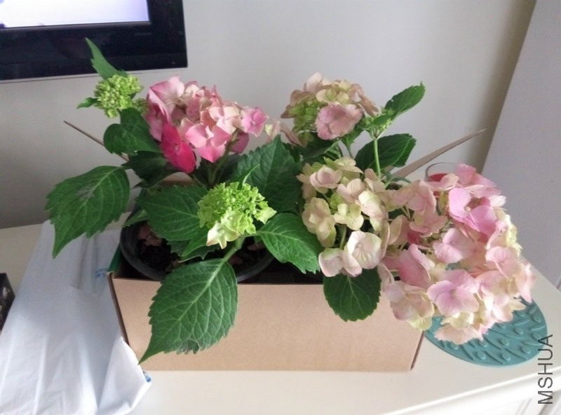 2��ƴ��һ���