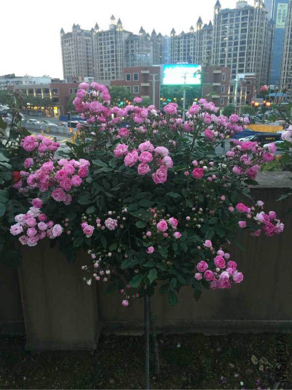 102439p4w350tg44555yyh.jpg