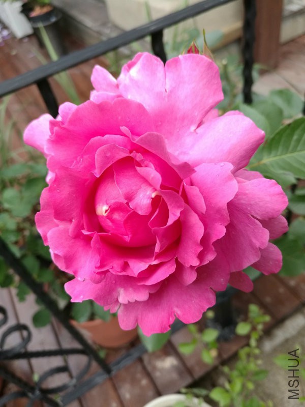 IMG_20160510_101146.jpg