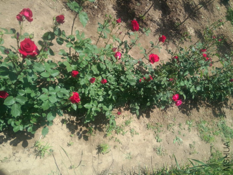 �Ҳ�3