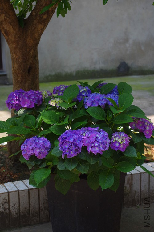 IMGP0812_����0.jpg