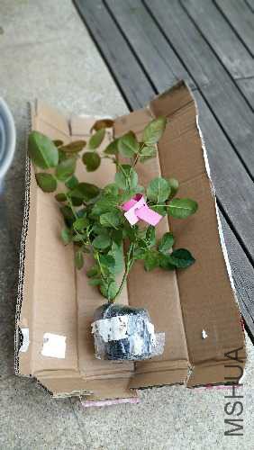 20160517_074641.jpg
