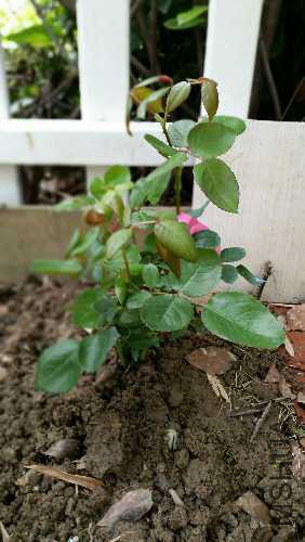 20160517_090504.jpg