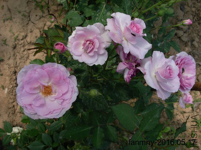 DSCN0056.JPG