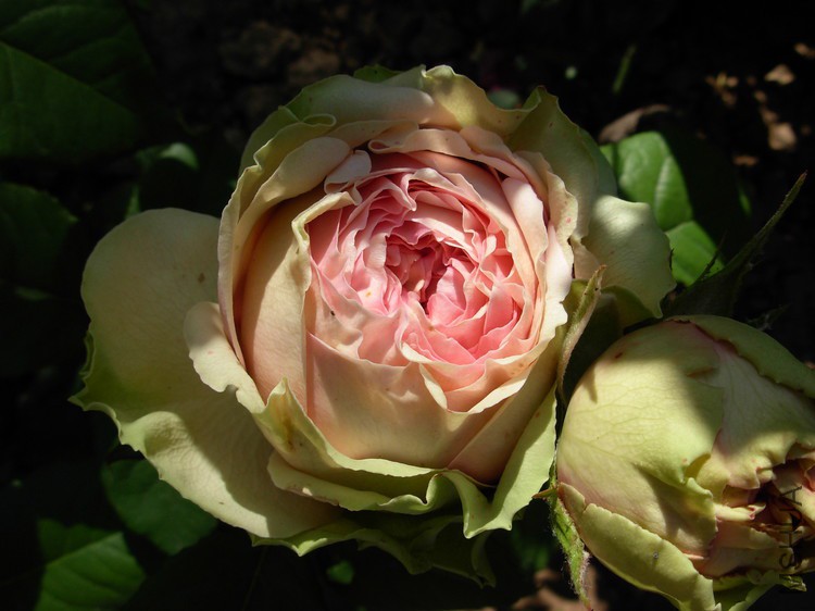 DSCN0309.JPG